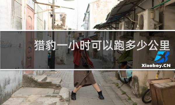 猎豹一小时可以跑多少公里