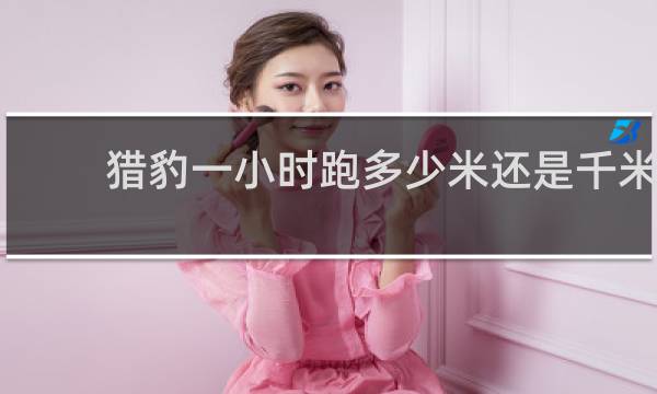猎豹一小时跑多少米还是千米
