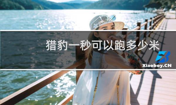 猎豹一秒可以跑多少米