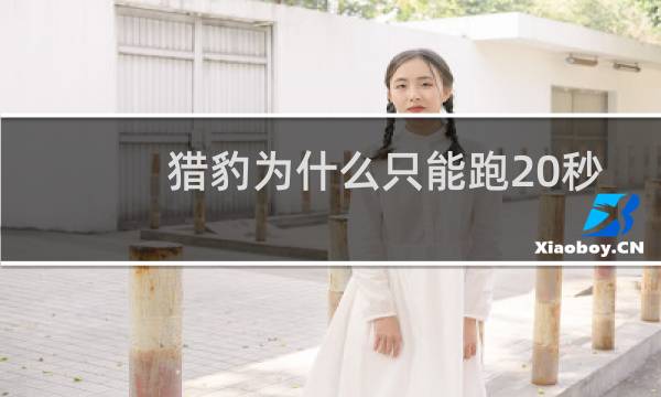 猎豹为什么只能跑20秒