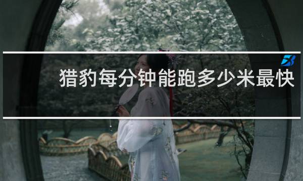 猎豹每分钟能跑多少米最快