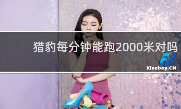 猎豹每分钟能跑2000米对吗