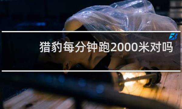 猎豹每分钟跑2000米对吗