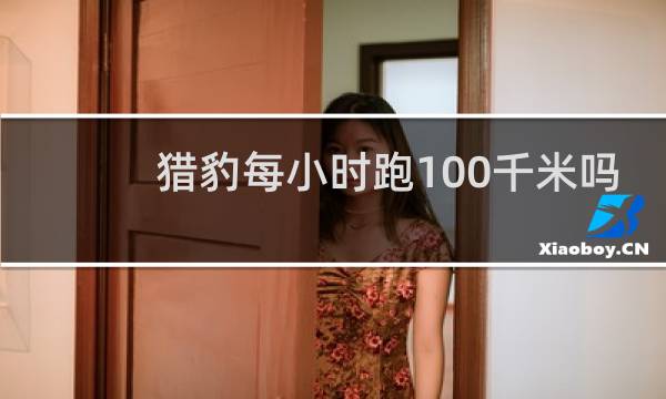 猎豹每小时跑100千米吗