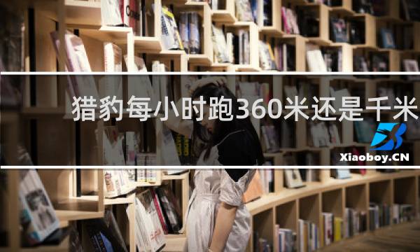 猎豹每小时跑360米还是千米