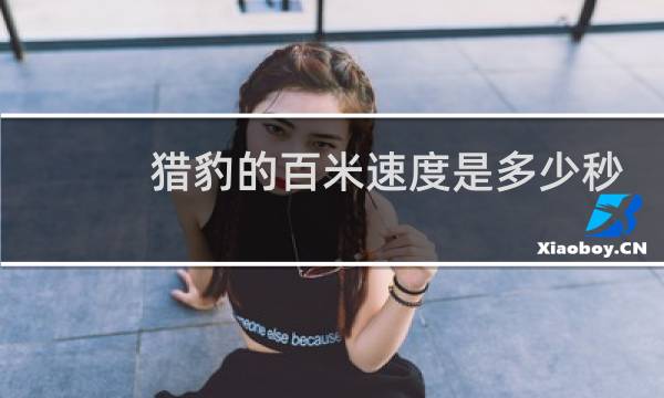 猎豹的百米速度是多少秒