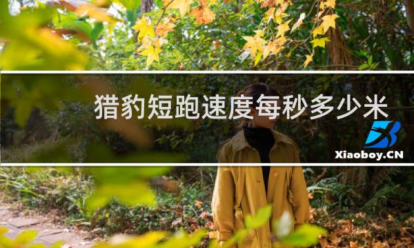 猎豹短跑速度每秒多少米