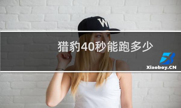 猎豹40秒能跑多少