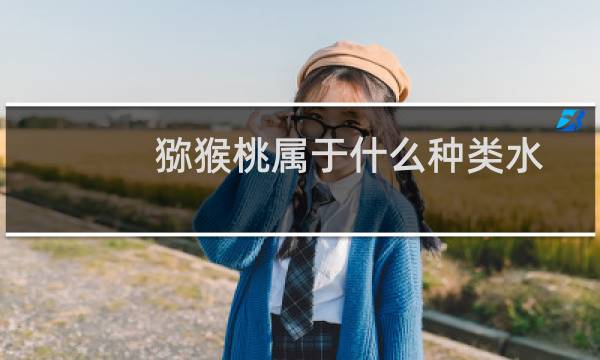 猕猴桃属于什么种类水果