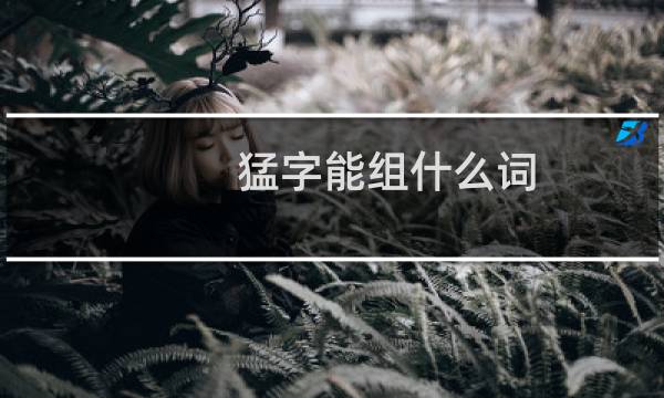 猛字能组什么词