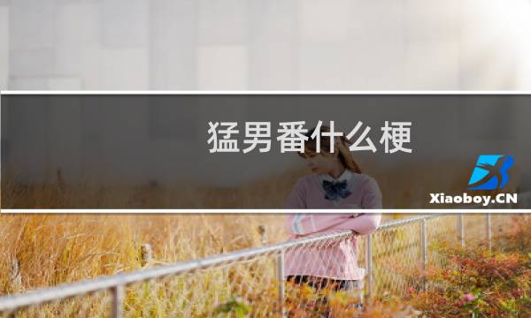 猛男番什么梗