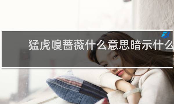 猛虎嗅蔷薇什么意思暗示什么，下一句是什么什么梗