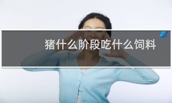 猪什么阶段吃什么饲料