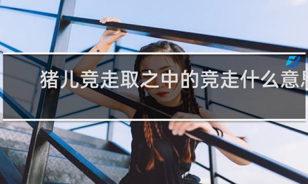 猪儿竞走取之中的竞走什么意思