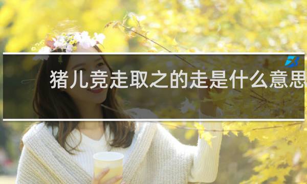 猪儿竞走取之的走是什么意思