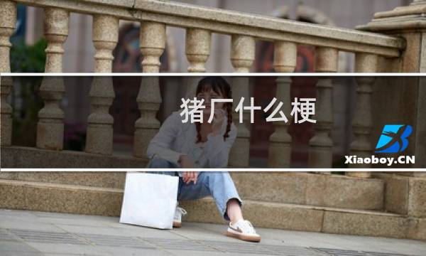 猪厂什么梗