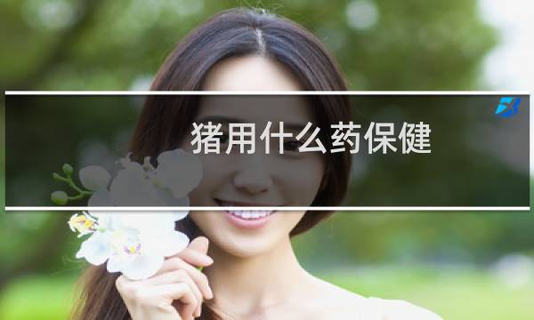 猪用什么药保健