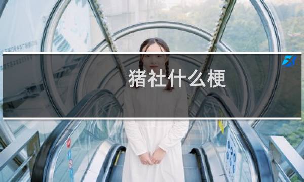 猪社什么梗