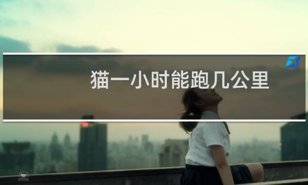 猫一小时能跑几公里