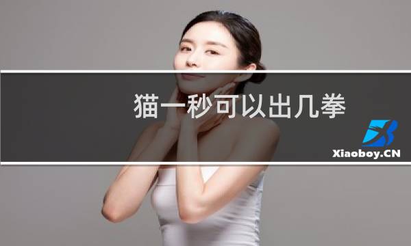 猫一秒可以出几拳
