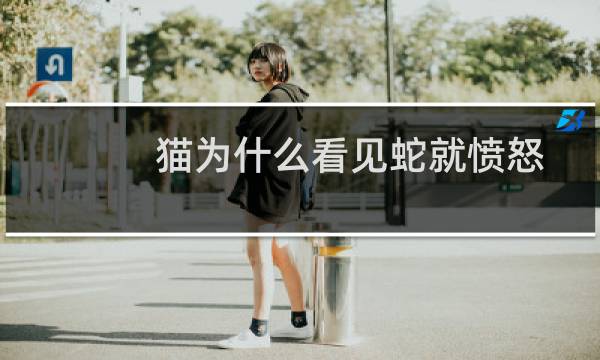 猫为什么看见蛇就愤怒