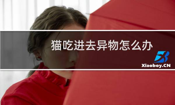 猫吃进去异物怎么办