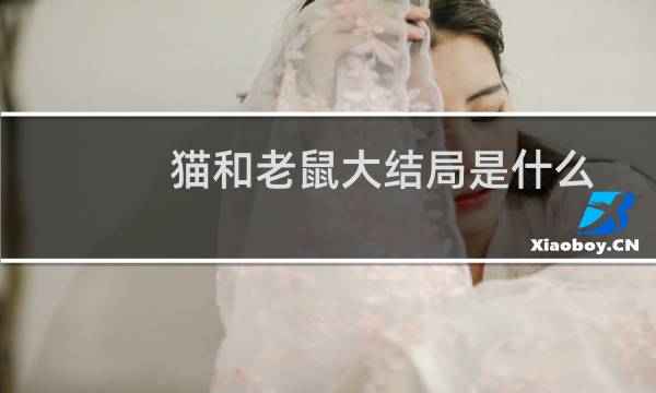 猫和老鼠大结局是什么（猫和老鼠大结局）图片