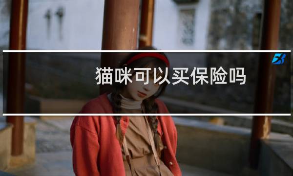 猫咪可以买保险吗