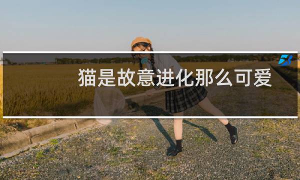 猫是故意进化那么可爱
