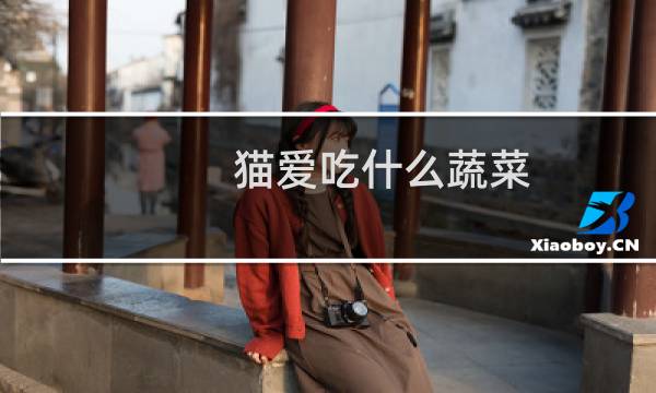 猫爱吃什么蔬菜(猫爱吃什么)