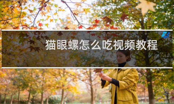 猫眼螺怎么吃视频教程（猫眼螺怎么吃）图片