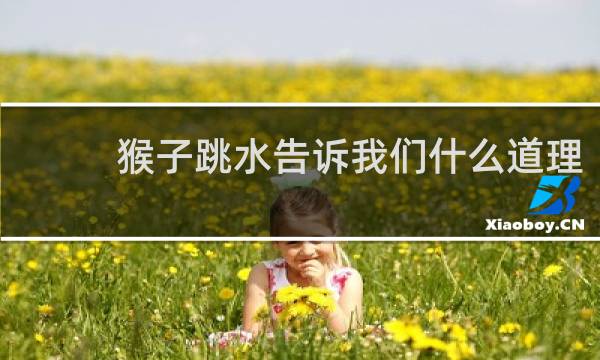 猴子跳水告诉我们什么道理