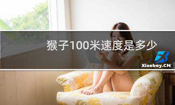 猴子100米速度是多少