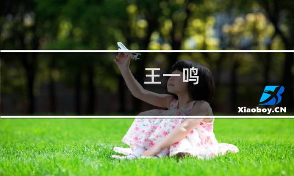 王一鸣(温暖的村庄王一鸣大结局?)