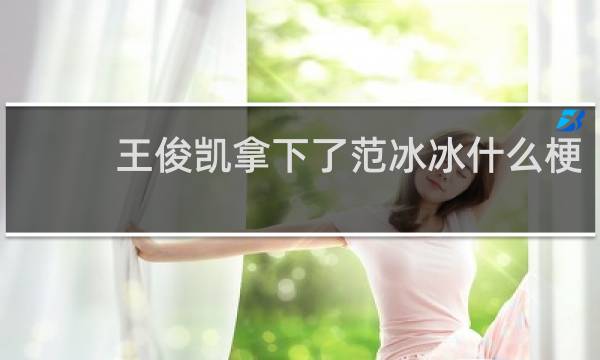 王俊凯拿下了范冰冰什么梗