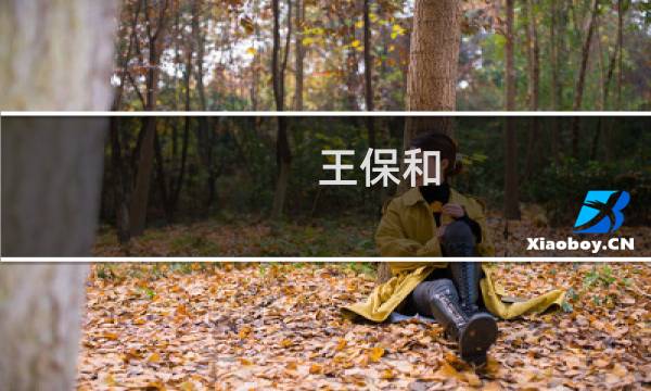 王保和图片