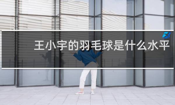 王小宇的羽毛球是什么水平