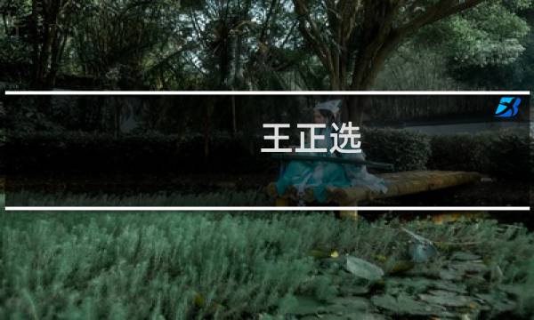王正选(关于王正选简述)