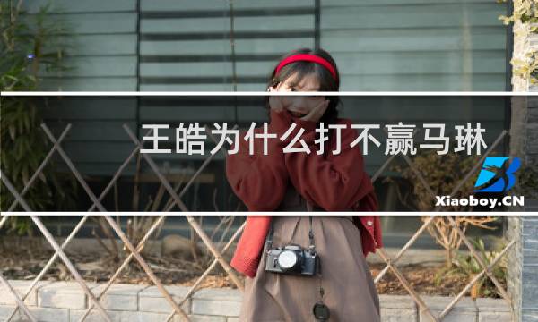 王皓为什么打不赢马琳