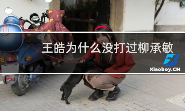 王皓为什么没打过柳承敏