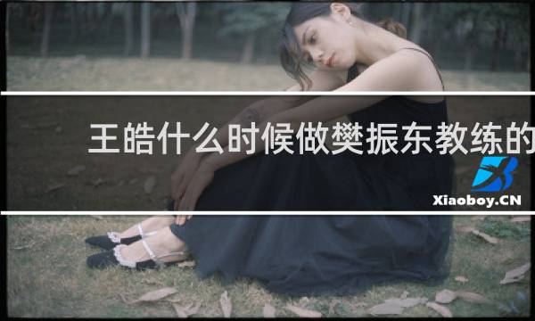 王皓什么时候做樊振东教练的