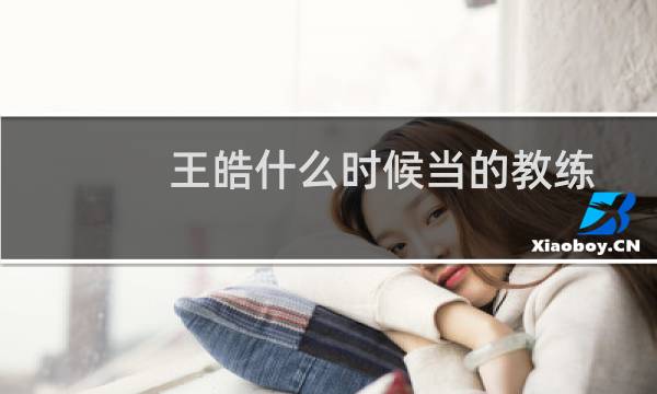 王皓什么时候当的教练