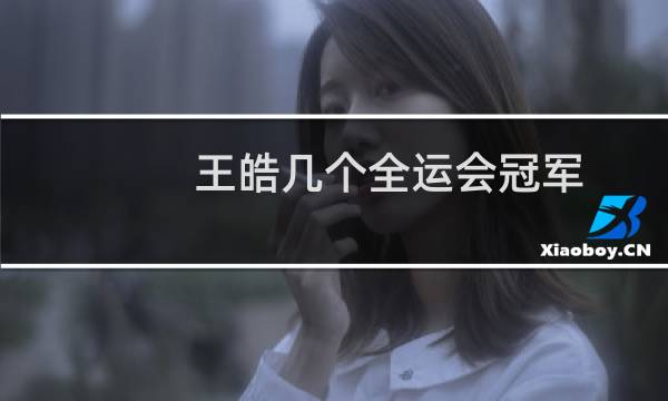 王皓几个全运会冠军
