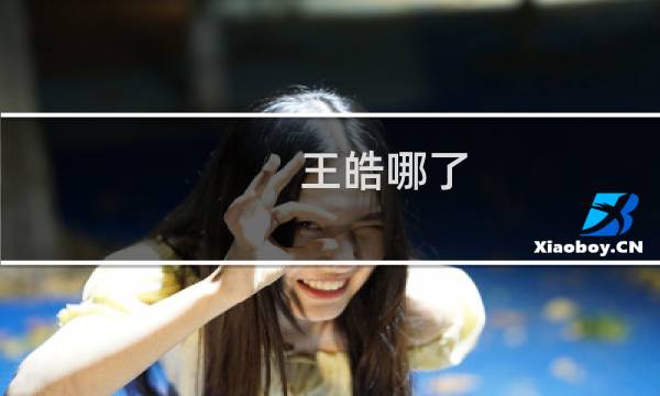 王皓哪了
