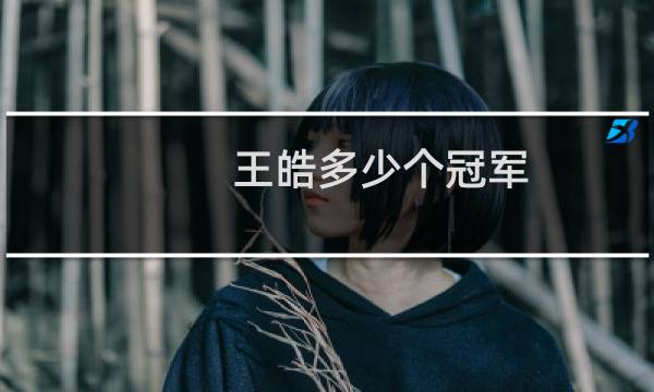 王皓多少个冠军