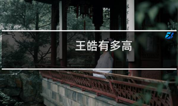 王皓有多高