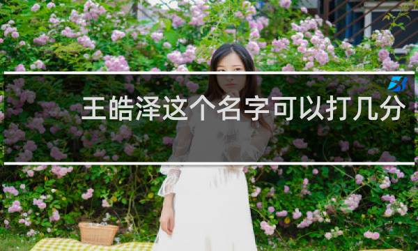 王皓泽这个名字可以打几分