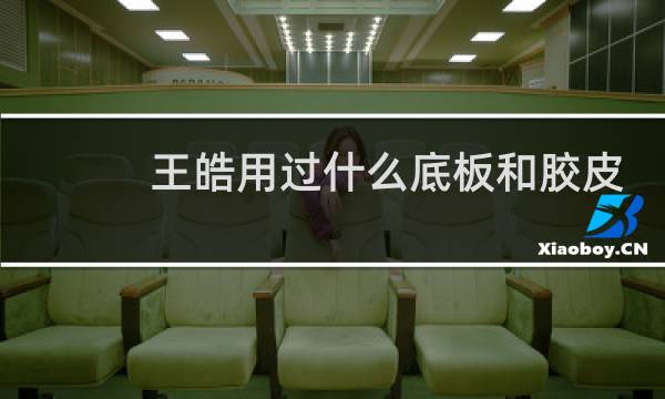 王皓用过什么底板和胶皮