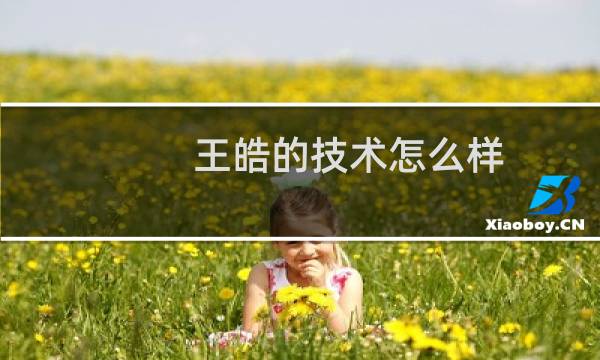 王皓的技术怎么样