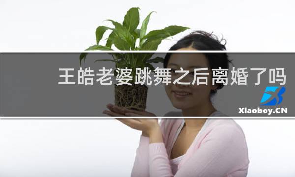 王皓老婆跳舞之后离婚了吗